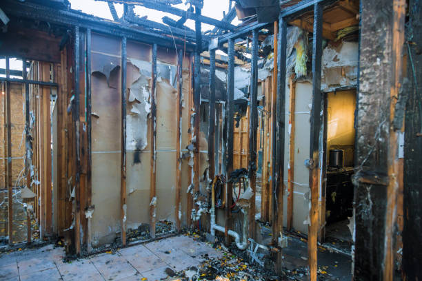 Professional Smoke Damage Removal technician working in Pike Creek, DE